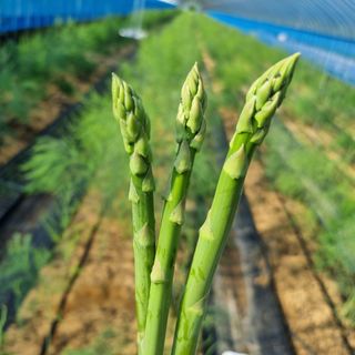 이정식님의 작성글 사진