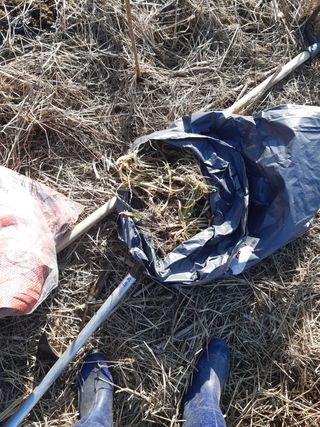 새리님의 기타작물 · 자유게시판 작성글 사진