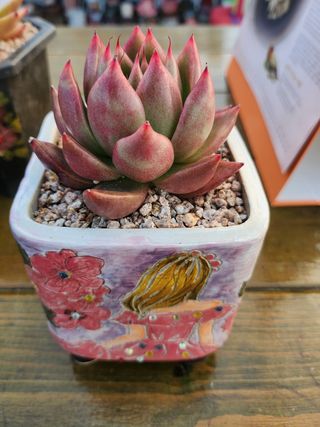 이연옥님의 기타작물 · 자유게시판 작성글 사진