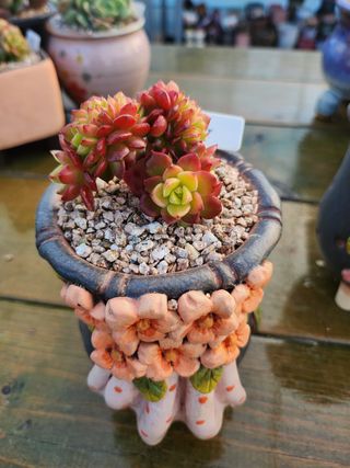 이연옥님의 기타작물 · 자유게시판 작성글 사진