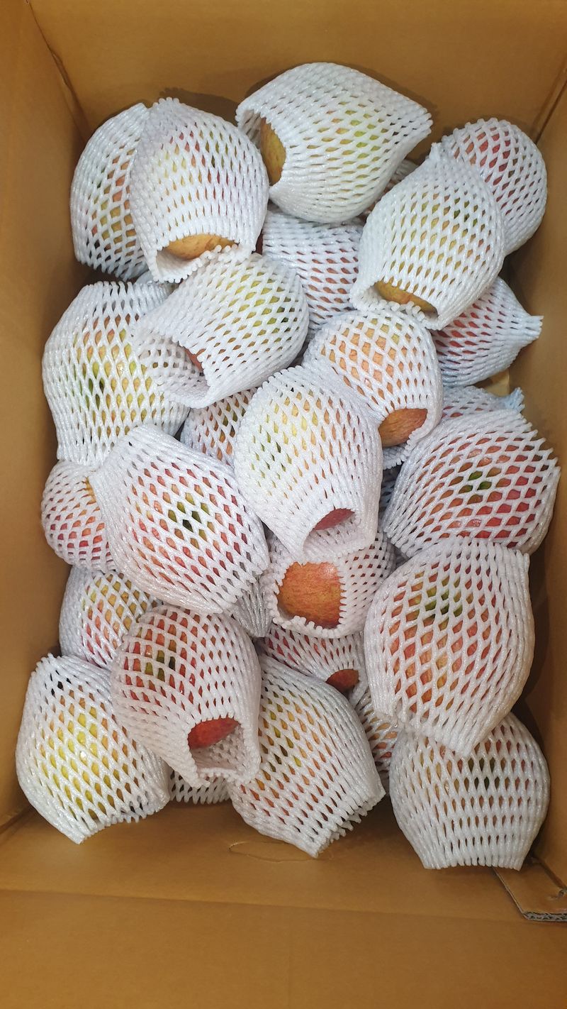 장터 상품 [창고대방출 미안마부사 10kg-40~46개사이 ] 썸네일