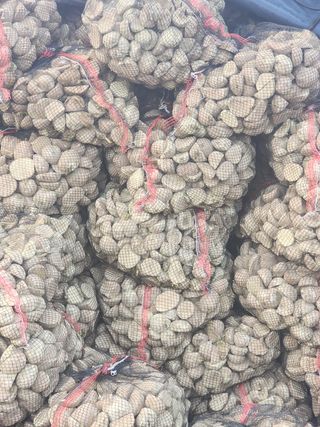 it농부님의 감자 · 자유게시판 작성글 사진