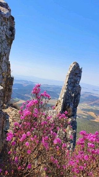 이현상님의 기타작물 · 자유게시판 작성글 사진