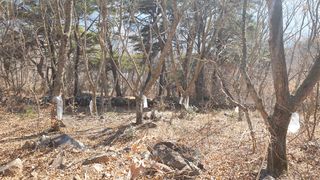 농부아내님의 기타작물 · 자유게시판 작성글 사진