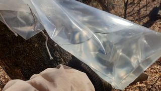 농부아내님의 기타작물 · 자유게시판 작성글 사진