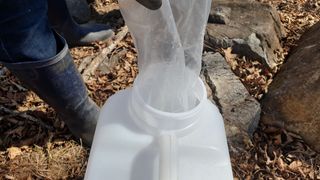 농부아내님의 기타작물 · 자유게시판 작성글 사진