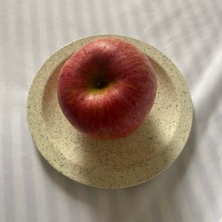 정다은님의 기타작물 · 자유게시판 작성글 사진