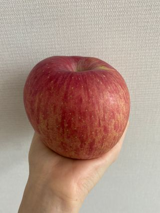 정다은님의 기타작물 · 자유게시판 작성글 사진