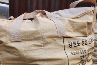 버섯스토리님의 버섯 · 일상 작성글 사진