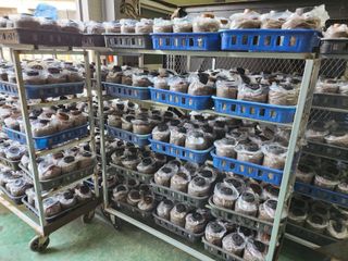 버섯스토리님의 버섯 · 일상 작성글 사진