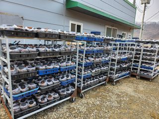 버섯스토리님의 버섯 · 일상 작성글 사진