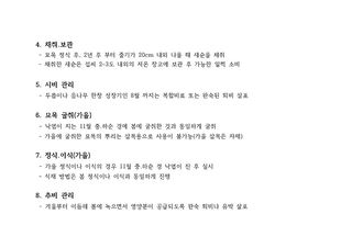 알 수 없음님의 두릅 · 품종•종자 작성글 사진