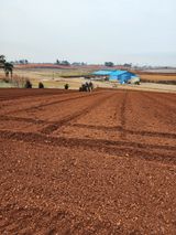 팜모닝 감자·자유게시판 게시글 이미지