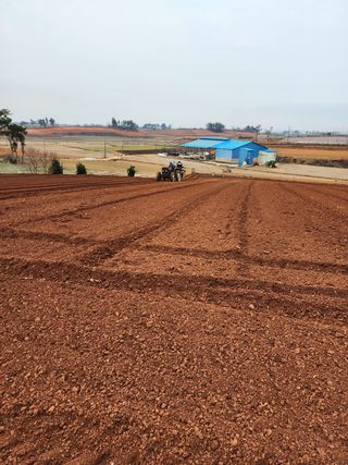 박효식님의 감자 · 자유게시판 작성글 사진