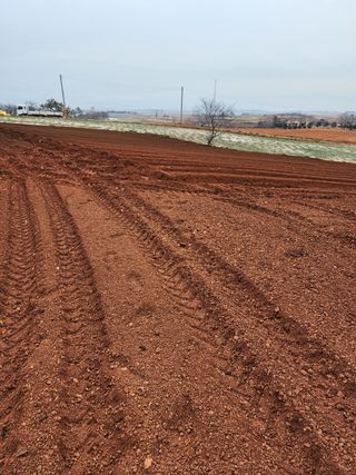 박효식님의 감자 · 자유게시판 작성글 사진
