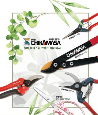 대산농사대장님의 작성글 사진