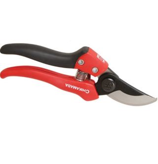 대산농사대장님의 작성글 사진