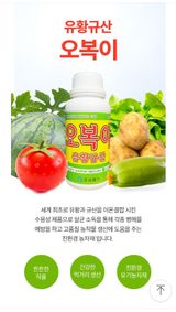 팜모닝 · 게시글 이미지