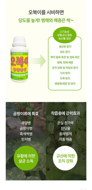 대산농사대장님의 작성글 사진