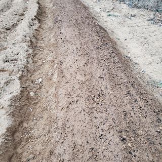 봉덕팜님의 기타작물 · 자유게시판 작성글 사진