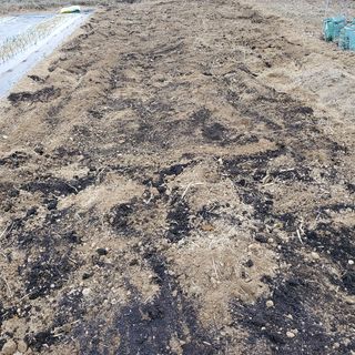 봉덕팜님의 기타작물 · 자유게시판 작성글 사진