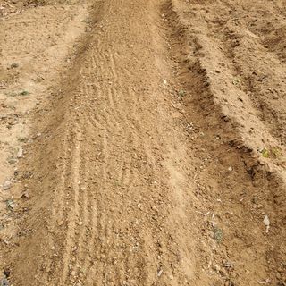 봉덕팜님의 기타작물 · 자유게시판 작성글 사진