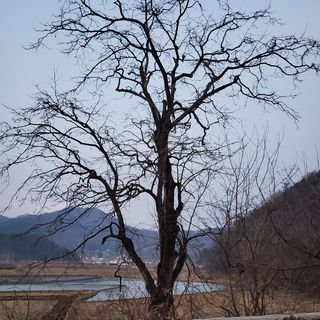 봉덕팜님의 기타작물 · 자유게시판 작성글 사진