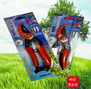 대산농사대장님의 작성글 사진