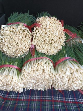 이영숙님의 작성글 사진