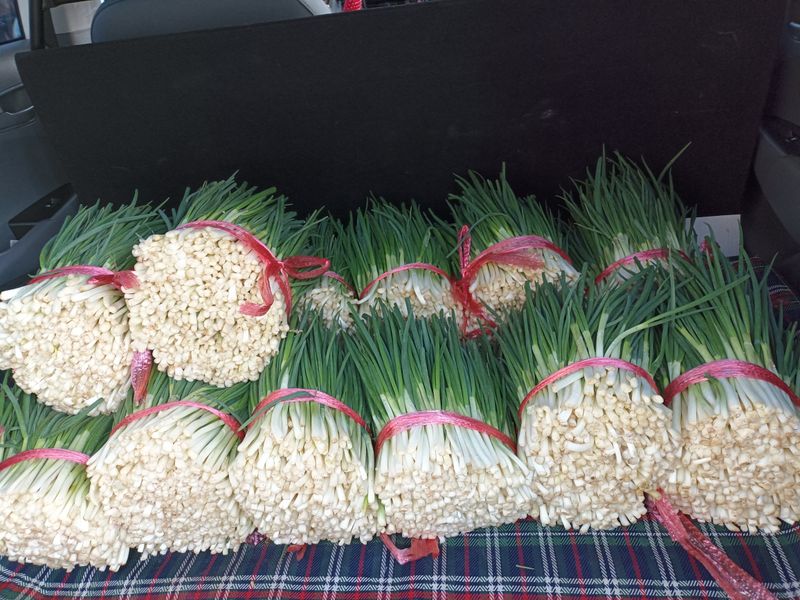 장터 상품 [노지쭉파2kg] 썸네일