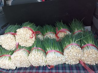 이영숙님의 작성글 사진