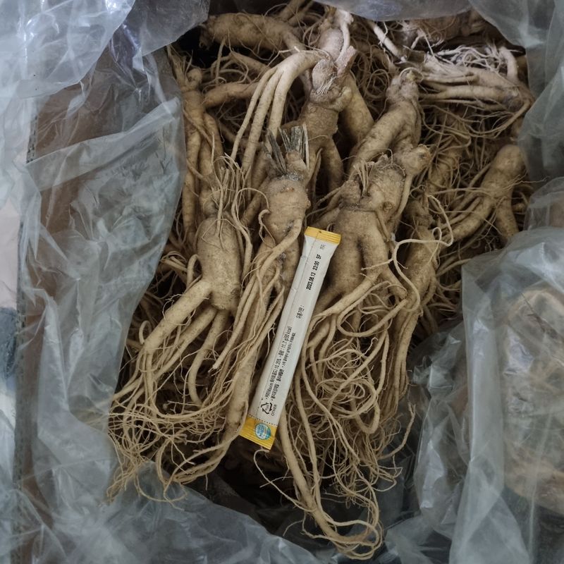 장터 상품 [6년근 인삼 판매합니다 ➡️ 750g] 썸네일