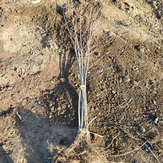상호현님의 기타작물 · 자유게시판 작성글 사진
