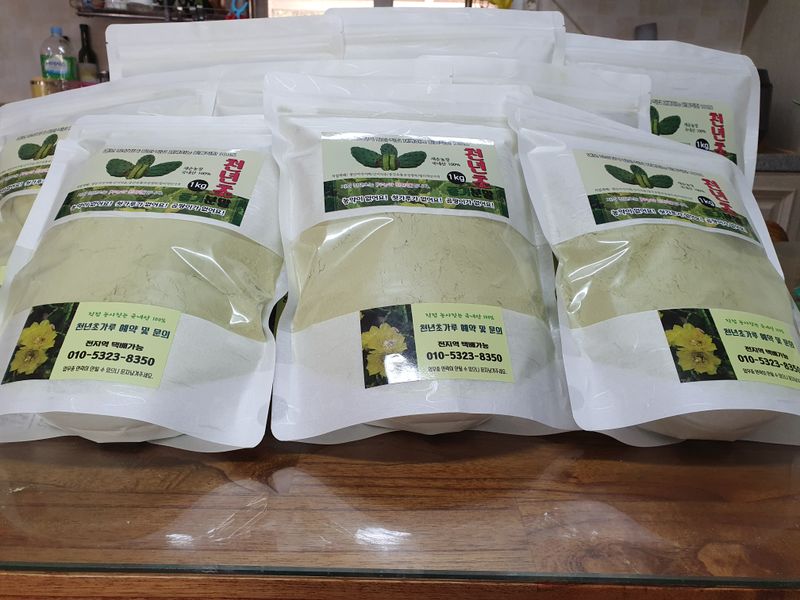 새순농원님의 장터 판매 상품 [천년초 줄기분말  1kg] 첨부 사진