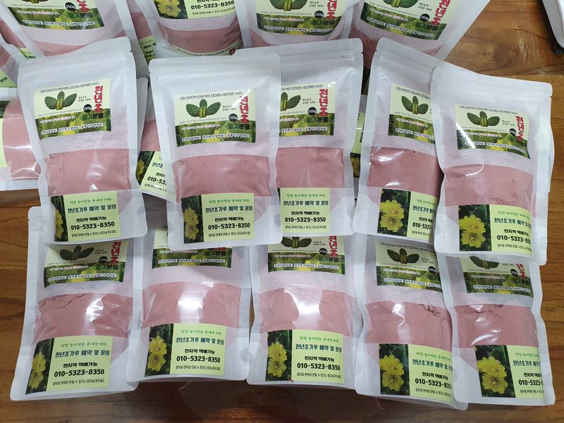 새순농원님의 장터 판매 상품 [천년초 줄기분말  1kg] 첨부 사진