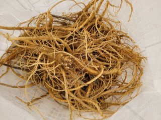 강성태 님의 작성글 사진