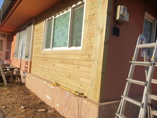 허굴산농장님의 기타작물 · 자유게시판 작성글 사진