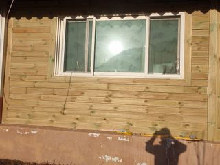 허굴산농장님의 기타작물 · 자유게시판 작성글 사진