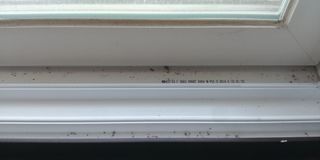 김관수회원님의 농자재정보 · 자유게시판 작성글 사진