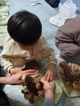 하나라도 소중하게님의 버섯 · 일상 작성글 사진