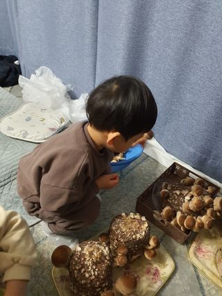 하나라도 소중하게님의 버섯 · 일상 작성글 사진