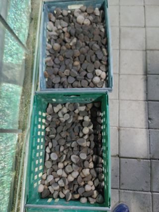 최용운님의 감자 · 자유게시판 작성글 사진