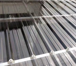 다이쏘(권자영)님의 작성글 사진