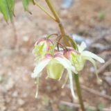 팜모닝 · 게시글 이미지