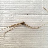 팜모닝 · 게시글 이미지