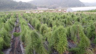 이창신님의 작성글 사진