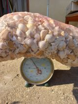 팜모닝 마늘·저장•가공 게시글 이미지