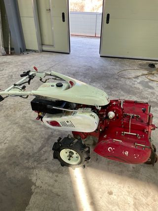 백상현님의 작성글 사진