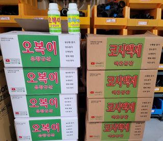 대산농사대장님의 양파 · 병해충상담 작성글 사진