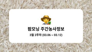 벼 농사도우미님의 벼 · 농사길잡이 작성글 사진